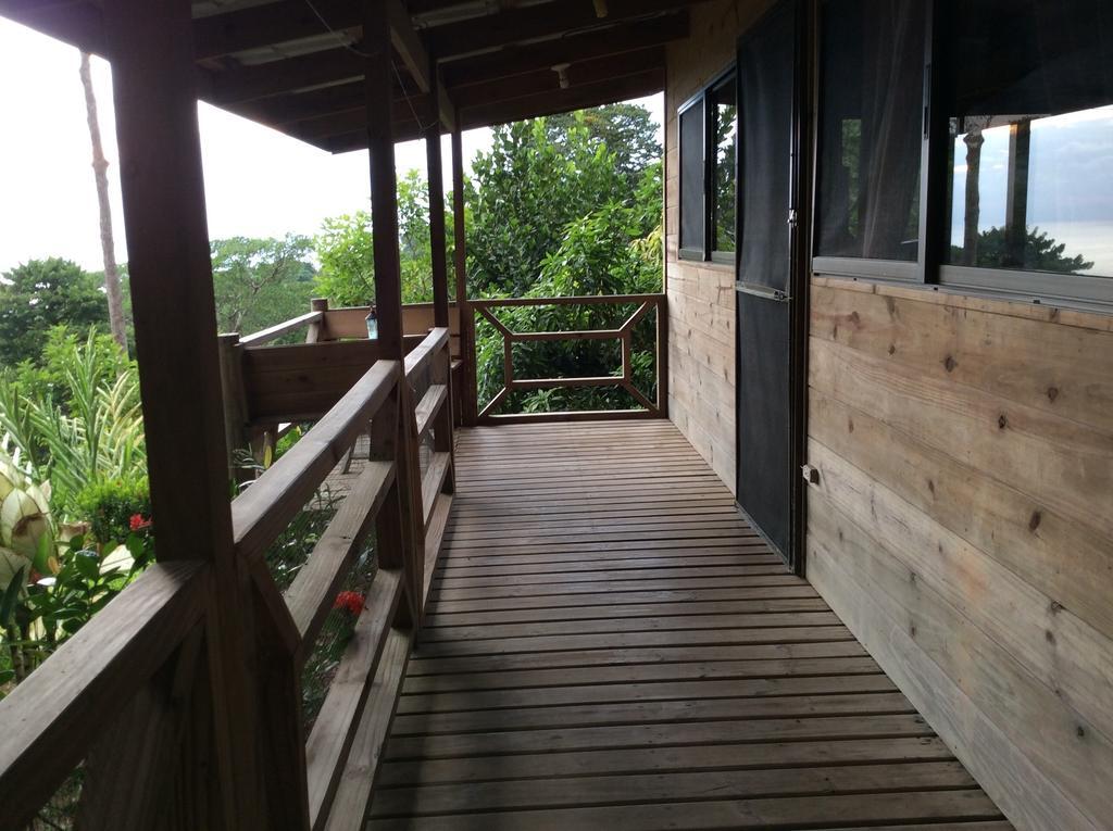 Many'S House Hotel Ballena Phòng bức ảnh