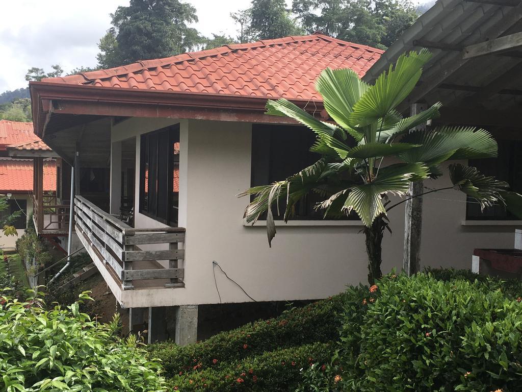 Many'S House Hotel Ballena Ngoại thất bức ảnh